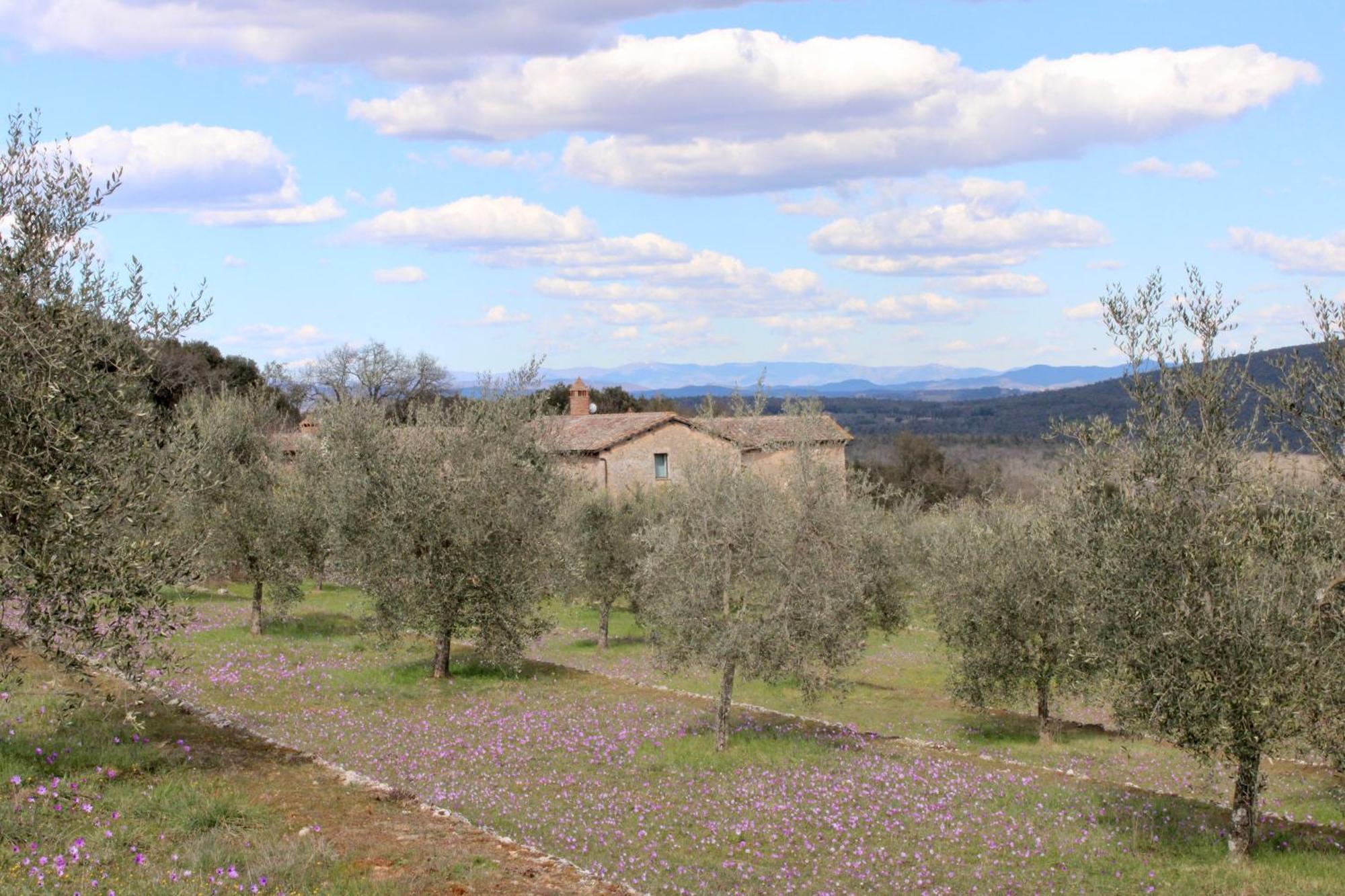 Willa Agriturismo Il Caggio Sovicille Zewnętrze zdjęcie